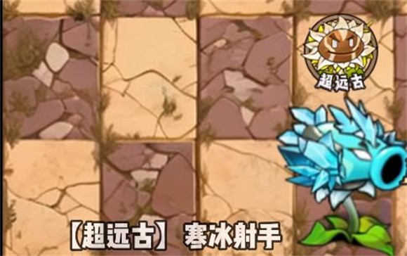 植物大战僵尸神奇植物在哪里
