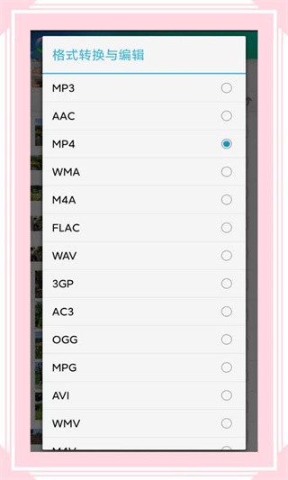 视音格式转换器截图1