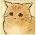 猫咪天堂最新版