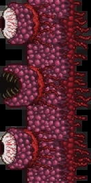 泰拉瑞亚灾厄模组整合包