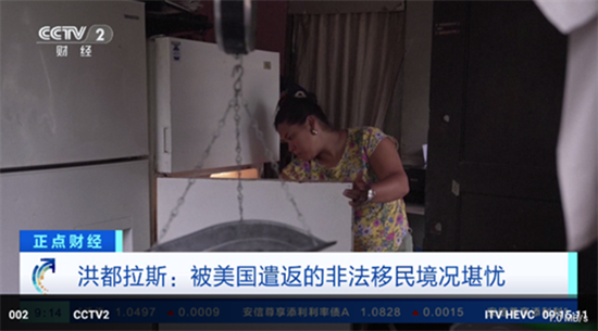 肥羊直播电视版