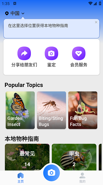 Picture Insect截图1