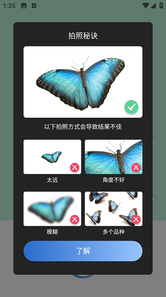 Picture Insect截图2