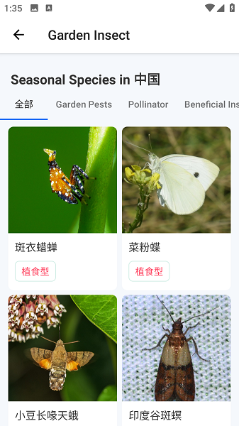 Picture Insect截图5