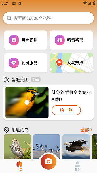 拍照识鸟