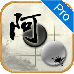 阿Q专业版