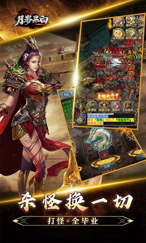 月影黑白龙胆攻速天命分身截图2