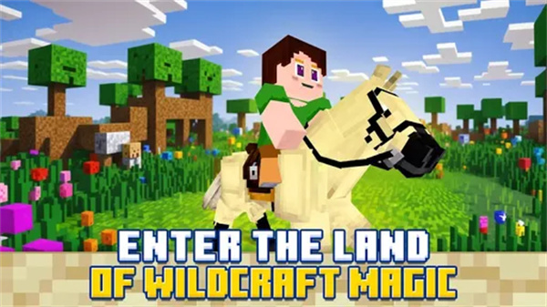 荒野工艺神秘之地