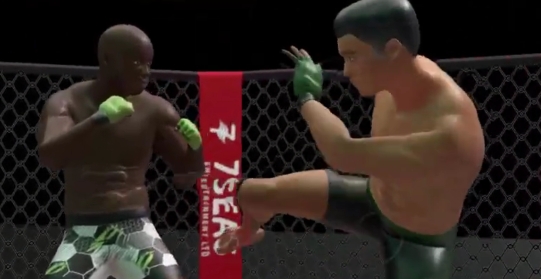 真正的综合格斗