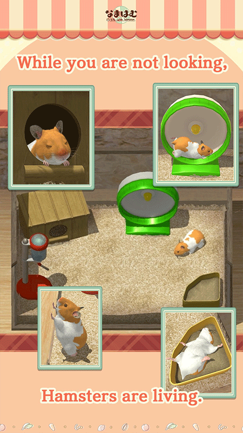 我的仓鼠截图1