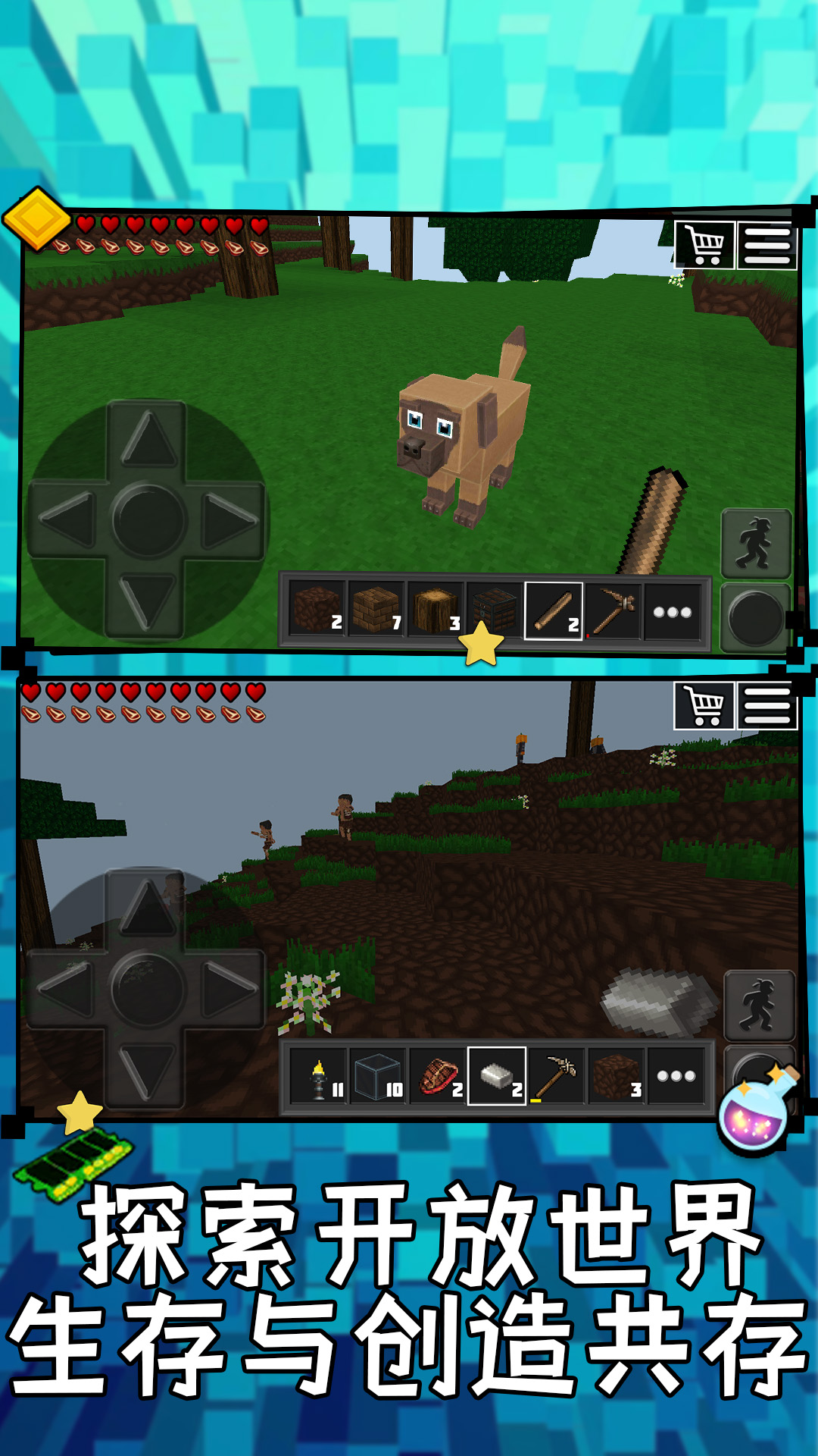 像素世界大玩家