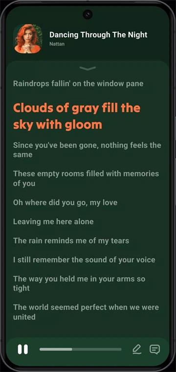 Lark Player音乐截图3