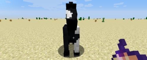 我的世界国际版最新版1.21