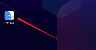 vivo应用商店国际版