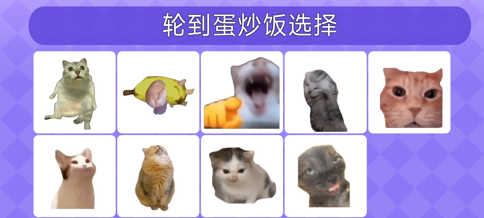 Meme的毒药截图5