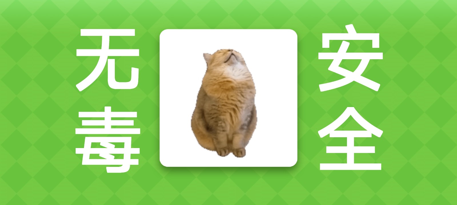 Meme的毒药截图2