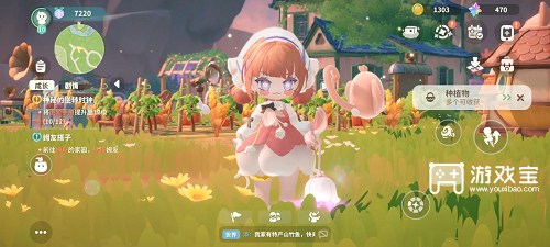 米姆米姆哈新人第一天攻略