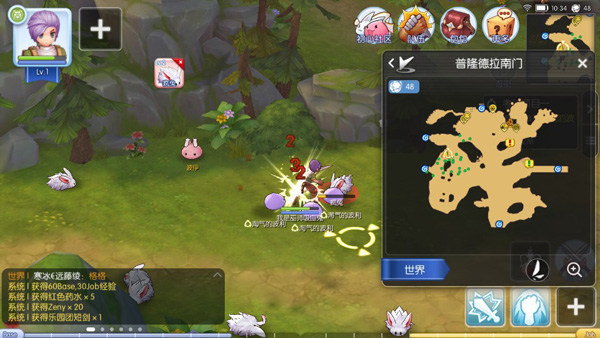 仙境传说RO守护永恒的爱