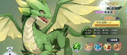 龙魂旅人绿队最强毕业阵容搭配攻略