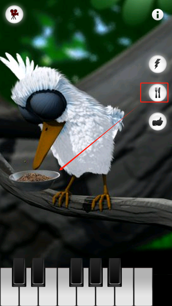 会说话的拉里鸟