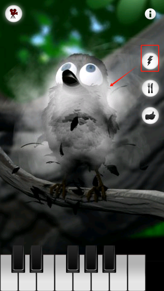 会说话的拉里鸟