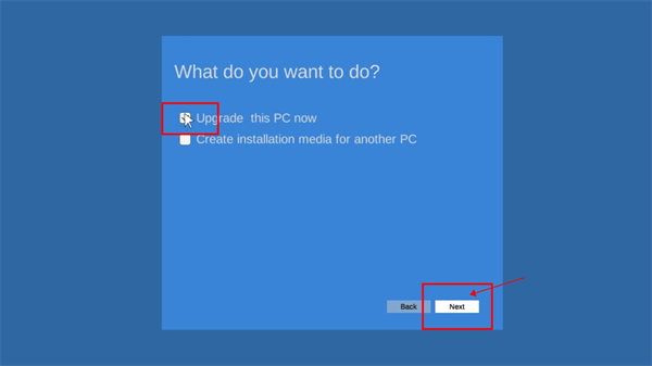 Windows11模拟器