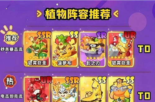 保卫向日葵双系阵容搭配核心攻略