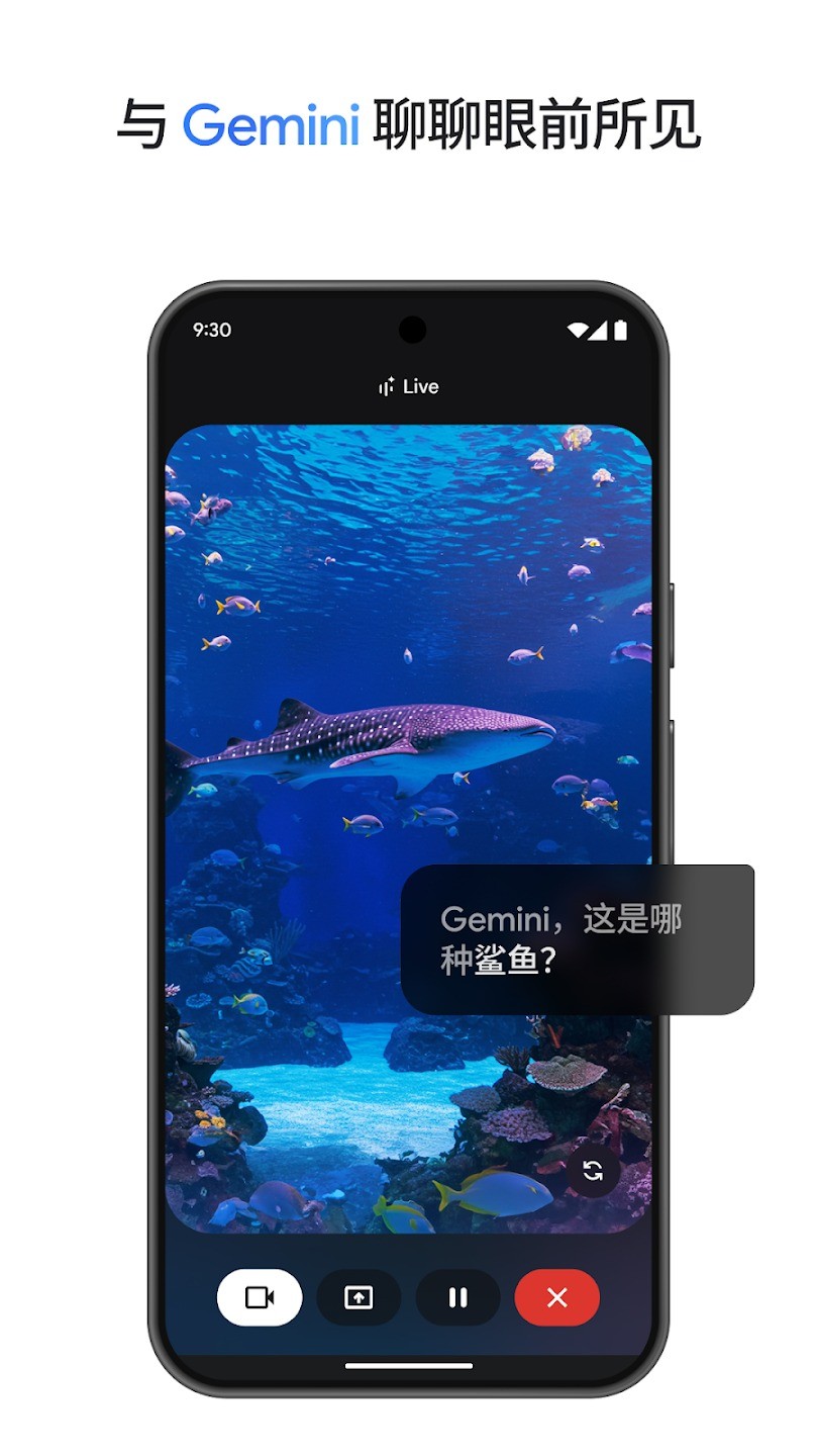 Google Gemini截图2