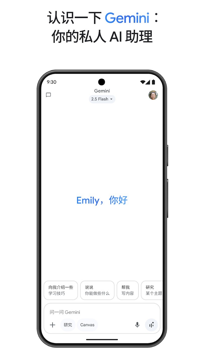 Google Gemini截图1