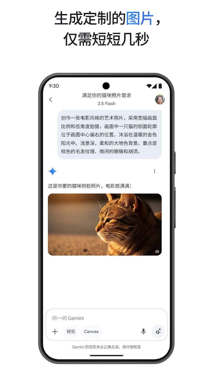 Google Gemini截图5