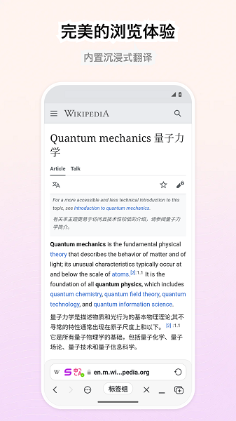 Stay浏览器截图4