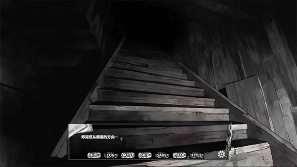 啮齿动物44号观察记录