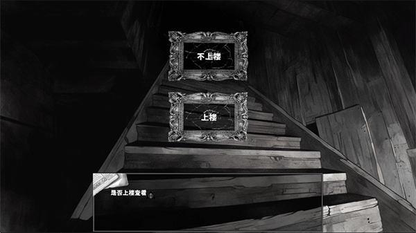 啮齿动物44号观察记录