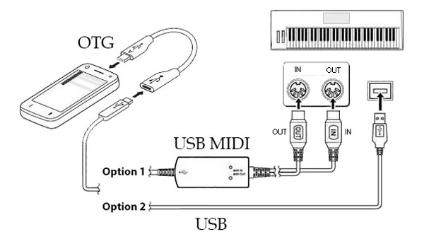 org24手机电子琴