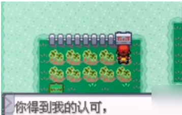 口袋妖怪无限大道