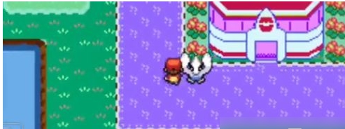 口袋妖怪无限大道