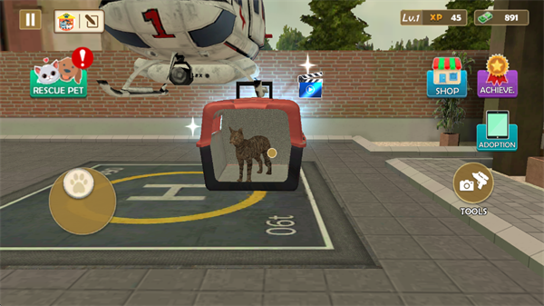 动物收容所模拟器