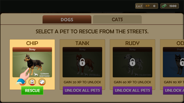 动物收容所模拟器