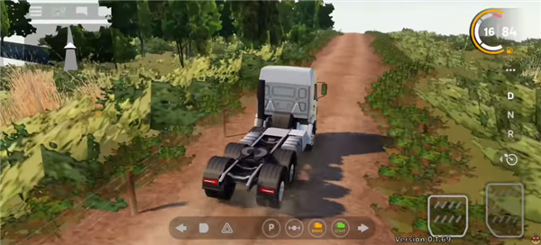 巴西卡车司机在线