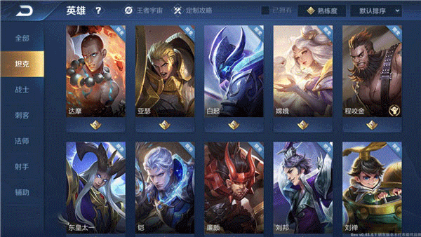 王者荣耀巴西服