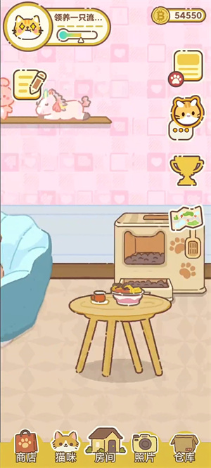 领养一只流浪猫