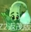 植物大战僵尸返茂版