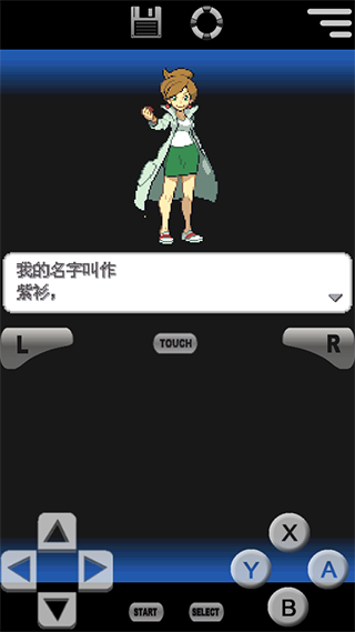 口袋妖怪黑2中文版