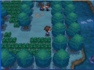 口袋妖怪黑2中文版