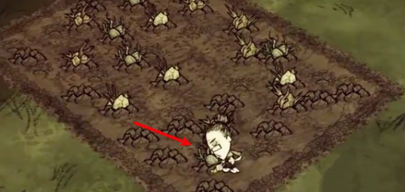 饥荒合辑版联机版