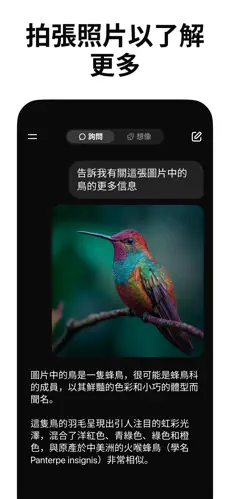 grok截图2