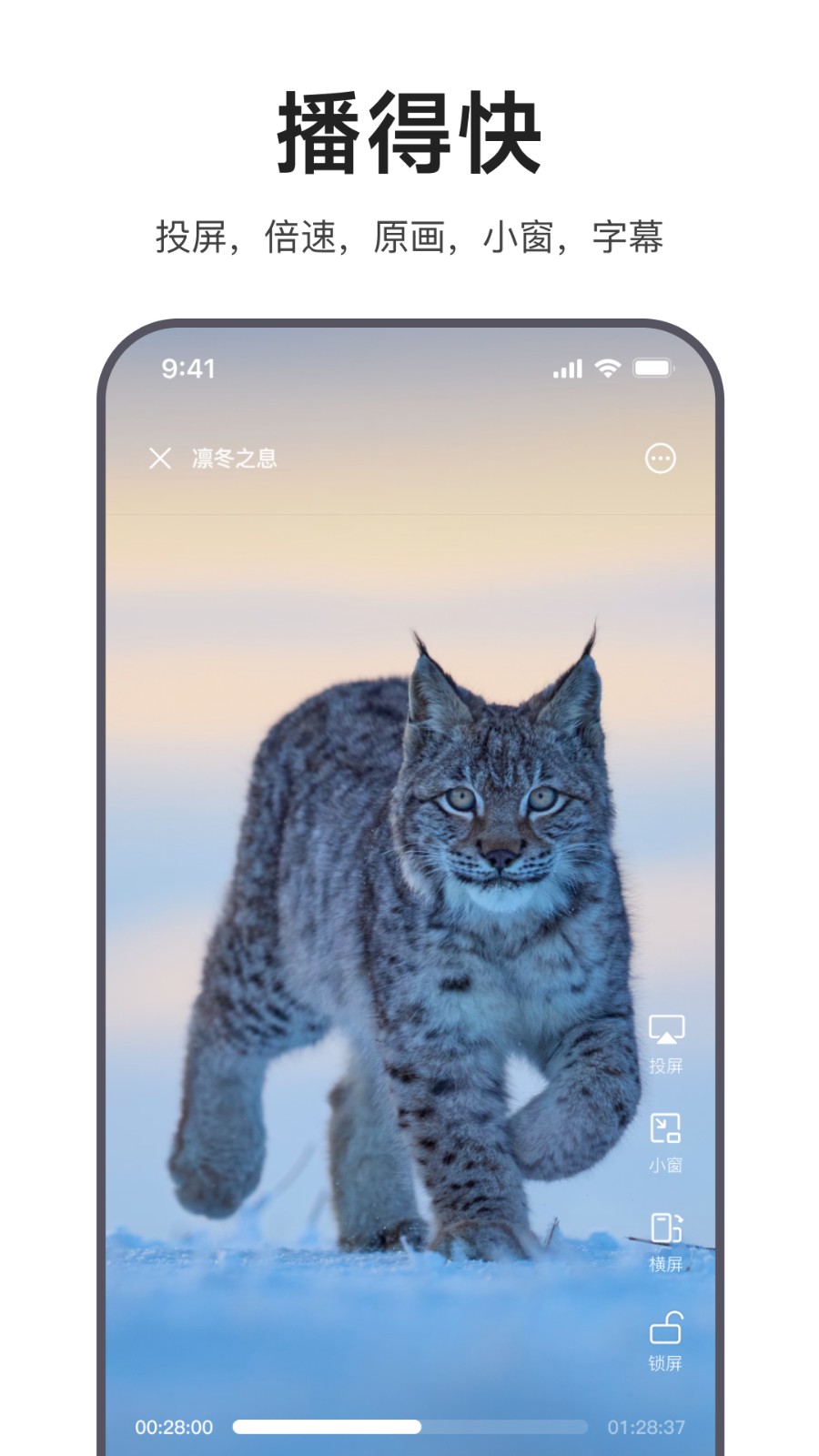 迅雷浏览器截图2