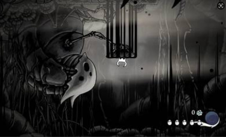 空洞骑士chara皮肤截图3