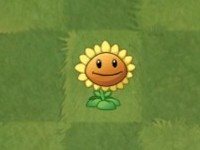 植物大战僵尸亚马逊8.1.0