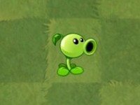 植物大战僵尸亚马逊8.1.0